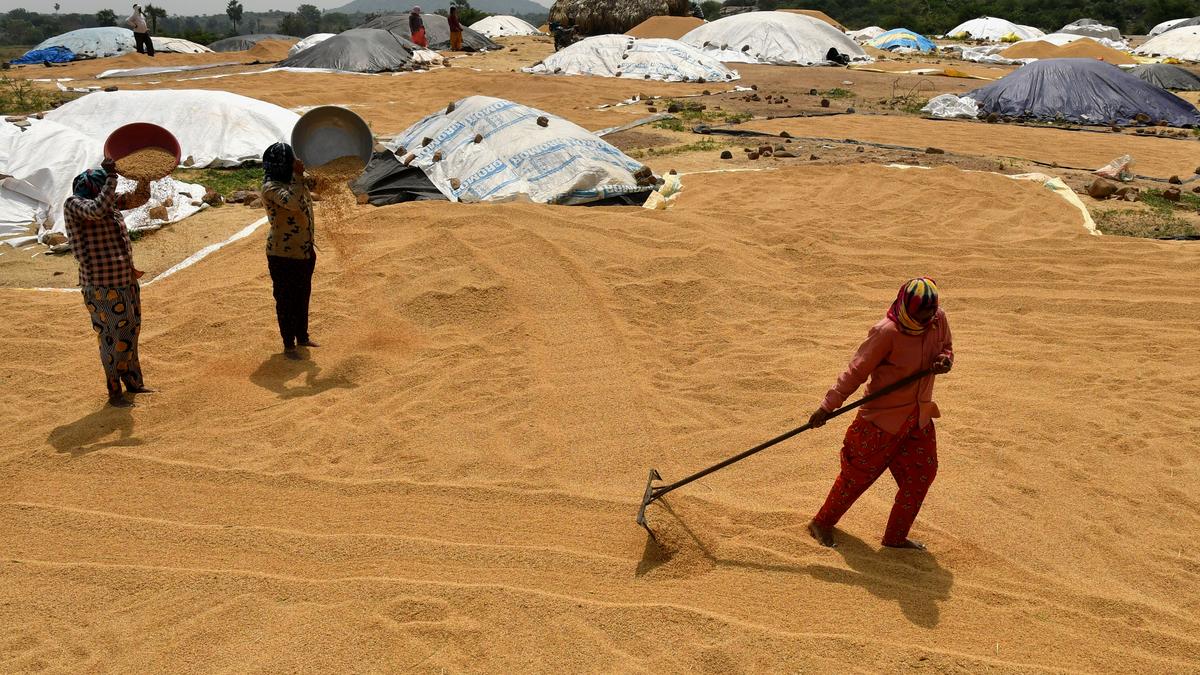 World’s largest grain storage plan Centre to implement pilot project